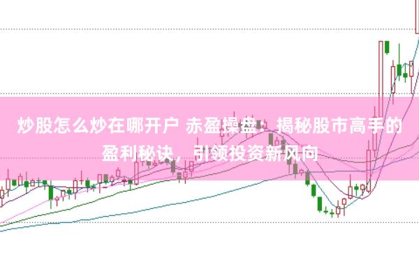 炒股怎么炒在哪开户 赤盈操盘：揭秘股市高手的盈利秘诀，引领投资新风向
