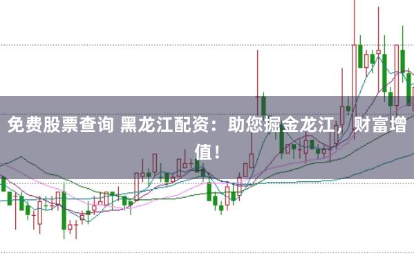 免费股票查询 黑龙江配资：助您掘金龙江，财富增值！